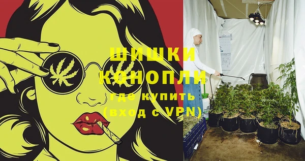 марки lsd Белокуриха