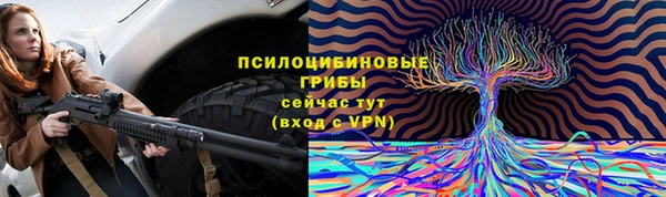 марки lsd Белокуриха