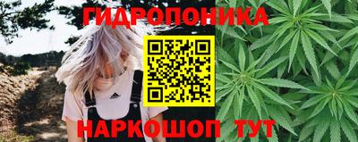 СК Кандалакша