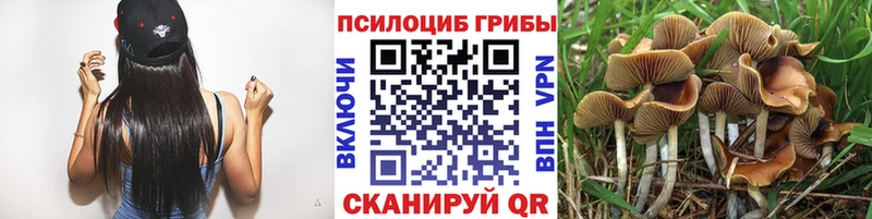 Псилоцибиновые грибы ЛСД  Бутурлиновка 