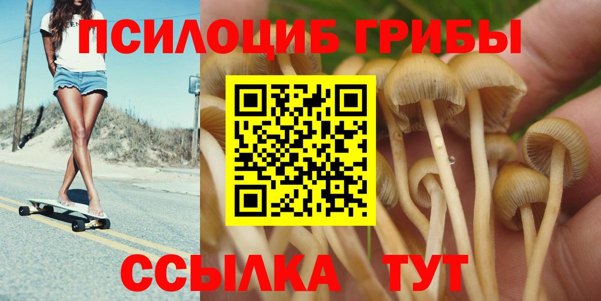 Галлюциногенные грибы Cubensis  Псилоцибиновые грибы ЛСД  наркотики  Бутурлиновка  Вход с VPN 