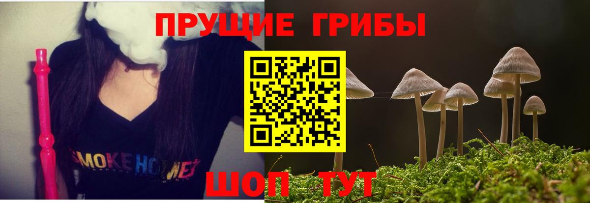 Галлюциногенные грибы GOLDEN TEACHER Бутурлиновка